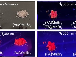 Образцы полученных материалов, люминесцирующих под действием ультрафиолета в атмосфере с различной влажностью. Источник Алексей Тарасов