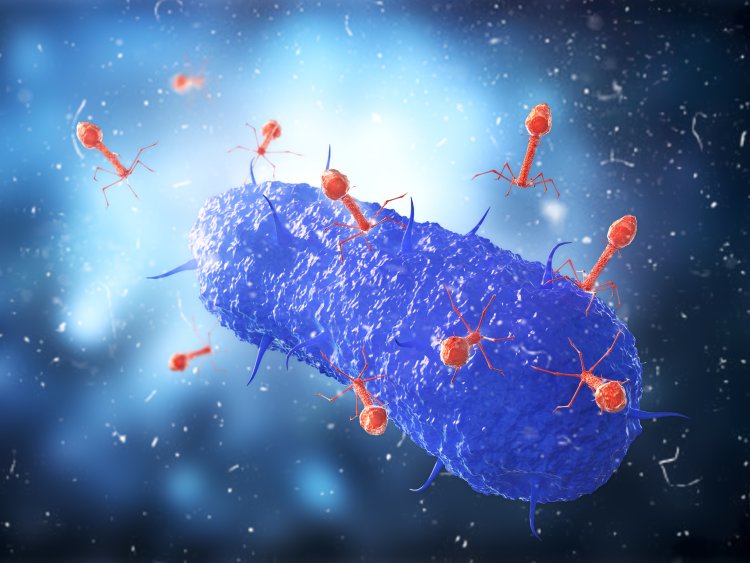 Как ВИЧ попадает в центр клетки, чтобы запустить инфекцию?