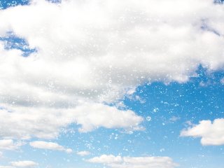 Фото: kzwwsko / ru.123rf.com