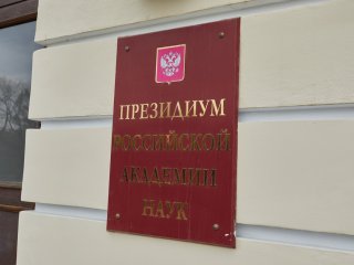 Фото: Елена Либрик / Научная Россия