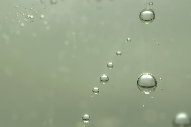 Источник фото: ru.123rf.com