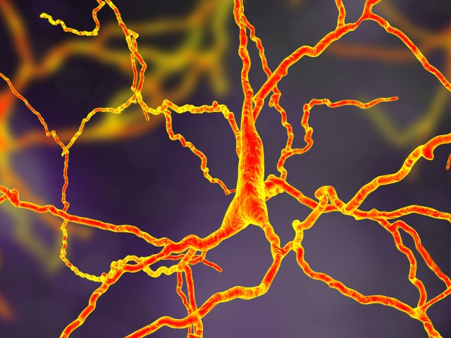 Источник фото: ru.123rf.com