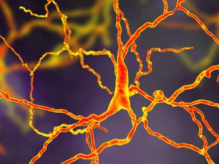 Источник фото: ru.123rf.com