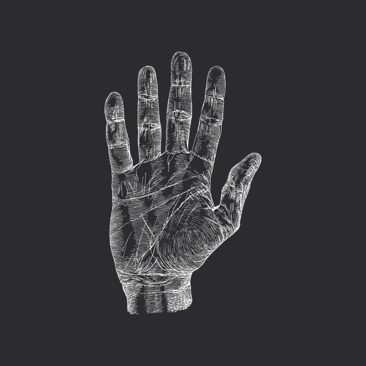 Фото: vladayoung / 123RF