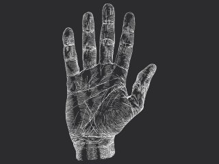 Фото: vladayoung / 123RF