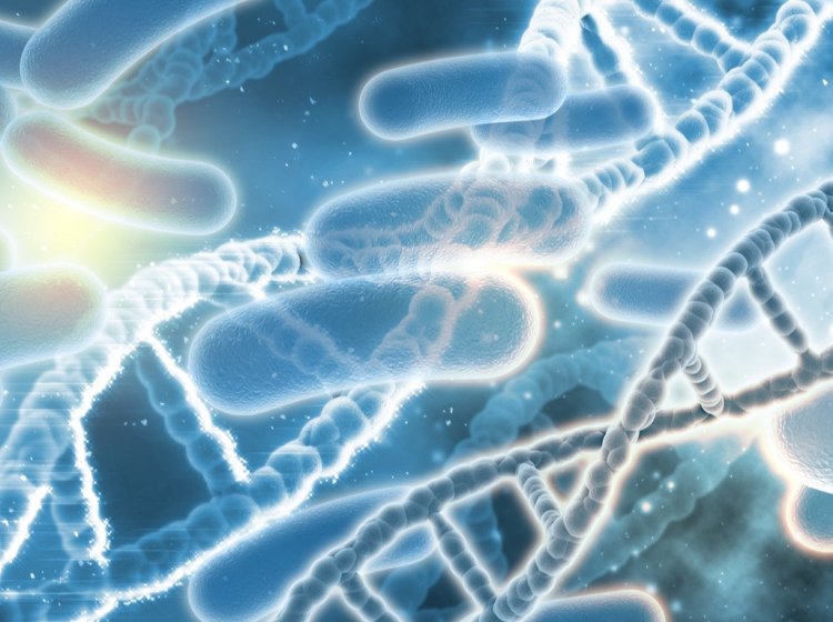 Новый механизм иммунной защиты бактерий открыли российские ученые вместе с зарубежными коллегами. Источник изображения: kjpargeter / фотобанк Freepik