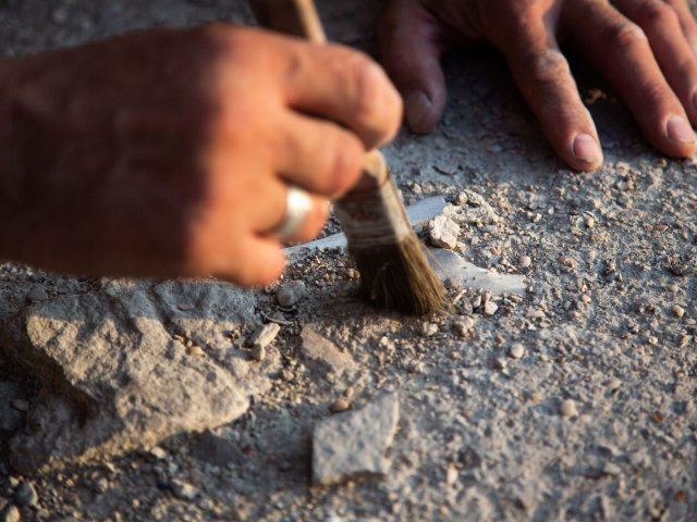 Источник фото ru.123rf.com