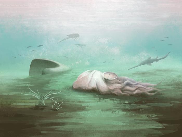 ����������&nbsp; ������������ ���������� ��������� ������ ���������