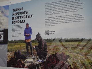 Третья международная научно-практическая конференция «Региональное сотрудничество БРИКС: актуальные проблемы экологии и природопользования». Фото: Анастасия Жукова / «Научная Россия»