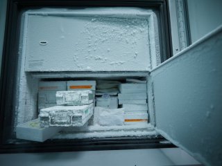 В отделе взаимодействия вирусов с клеткой НИИ ФХБ МГУ. Фото: Елена Либрик / «Научная Россия»