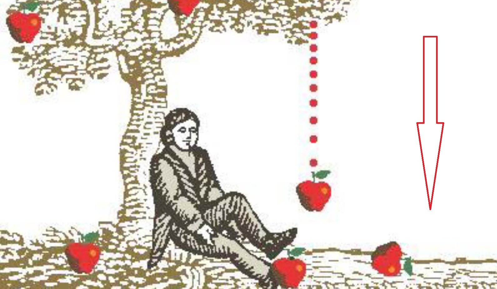 Ньютон закон Всемирного тяготения яблоко