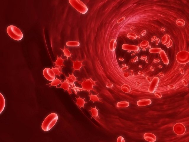 Метаболическая активность костного мозга что это. Смотреть фото Метаболическая активность костного мозга что это. Смотреть картинку Метаболическая активность костного мозга что это. Картинка про Метаболическая активность костного мозга что это. Фото Метаболическая активность костного мозга что это