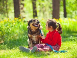 Лучшие друзья детей — домашние животные