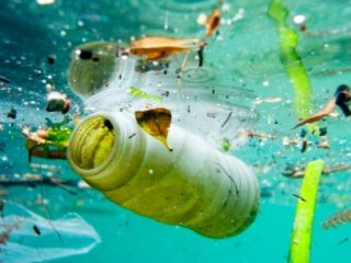 Война с пластиком может принести больше экологического вреда, чем пользы
