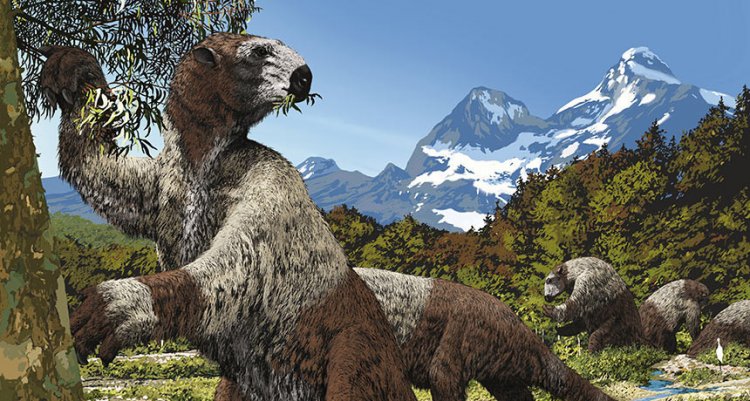 Люди охотились на огромных ленивцев во время Ледникового периода