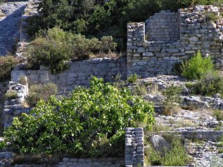 Определена основная функция древней римской мельницы