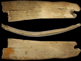 Экспедиция ИАЭТ СО РАН обнаружила в Денисовой пещере древнюю диадему эпохи палеолита из бивня мамонта