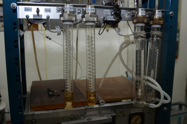 Фото: Надежда Дмитриева