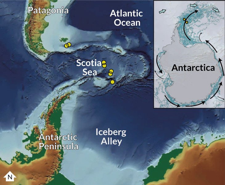 Айсберги Антарктиды говорят о прошлом и будущем