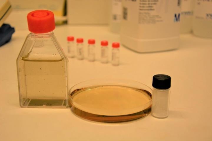 Микробы из гуминовых озер производят омегу-3 из микропластика