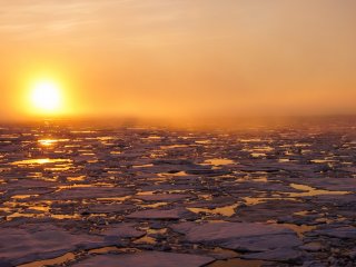 Российские климатологи разработали методику восстановления данных о площади арктических морских льдов в первой половине ХХ века и оценили масштаб прошлых изменений