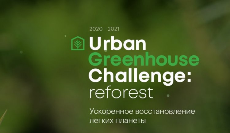 Международный конкурс Urban Greenhouse Challenge впервые пройдет в России
