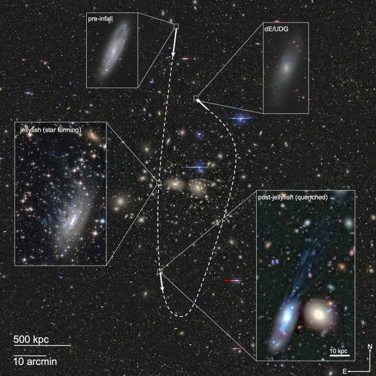 Астрофизики МГУ впервые установили доминирующий канал формирования карликовых галактик в звёздных скоплениях