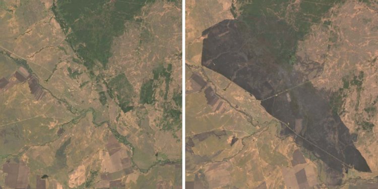 Территория до пожара 13 мая 2016 года (слева) и сразу после пожара 18 мая 2018 года (справа). Снимки Landsat 8, натуральные цвета