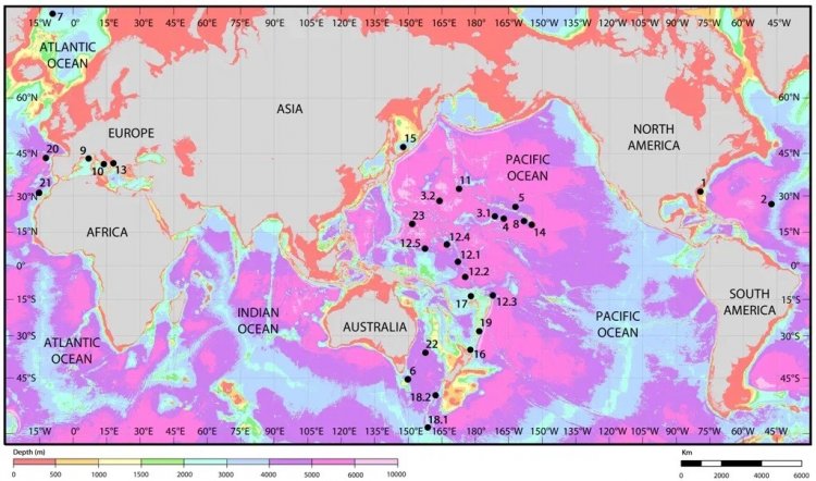 Батиметрическая карта Мирового океана с указанием географического распространения мшанок на железомарганцевых корках