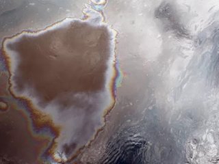 Разлив нефти. Источник фото: ria.ru