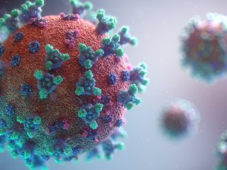 Выдох для диагностики заболеваний. Источник: Fusion Medical Animation / Фотобанк Unsplash 