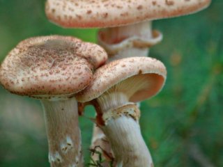 Фото: cc0collection/Фотобанк RU.123.RF