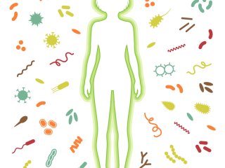 Иллюстрация: eveleen / ru.123rf.com