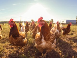 Источник ru.123rf.com