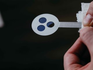 Оптический фильтр на основе фотонных кристаллов. Фото Анастасии Тамаровской / ФИЦ КНЦ СО РАН