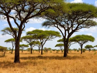 Фото: создано с помощью сервиса «Шедеврум»