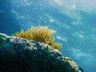 Фото: allexxandar / ru.123rf.com