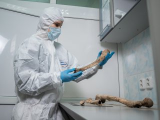 Химический «скальпель» для анализа ДНК и уничтожения опасных патогенов создали российские ученые. Фото предоставлено О.Ю. Арамовой