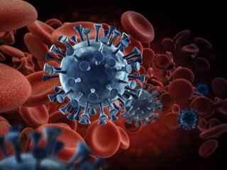 Фото: phonlamaiphoto / 123RF