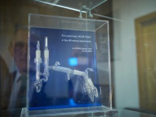 Фото Елены Либрик