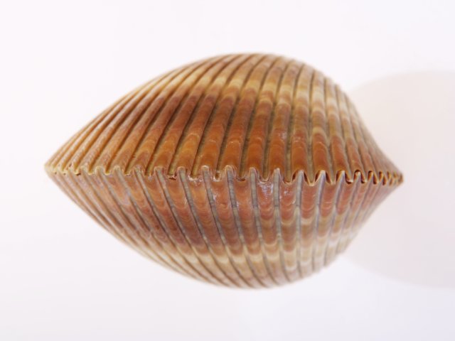 Источник фото: ru.123rf.com