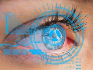 Зрительные впечатления приводят к формированию разных нейронных связей. Фото: creativeart / Freepik.com