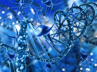 Фото: kjpargeter / Freepik