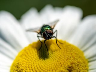 Изображение: Фотобанк Freepik