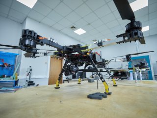 Фото: Елена Либрик / Научная Россия