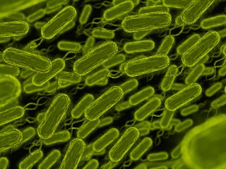 Разработан потенциальный препарат для снижения риска развития рака желудка. Фото: Freepik.com