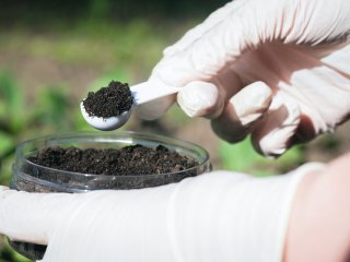 Источник фото: ru.123rf.com