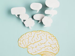 Как мозг запоминает важные события во время сна? Фото: magnific. com