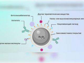 Схематическое изображение гибридной наносистемы на основе смешанного оксида железа — магнетита, модифицированного биосовместимым покрытием и различными соединениями (лигандами). Источник изображения: Анна Торопцева / ИБХФ РАН