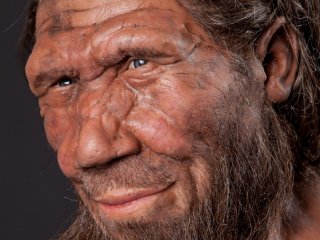 «Роман» между людьми и неандертальцами протекал в три стадии
